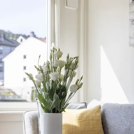 Apartment Modern Only 5 Minutes From Centre